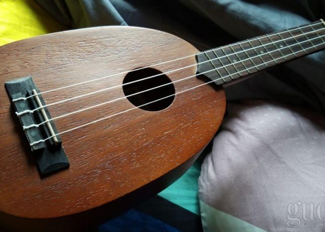 Mengenal Apa Itu Ukulele